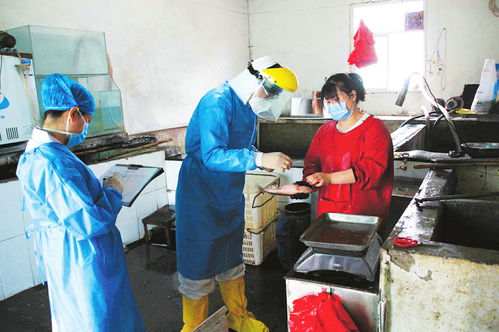 加強冷鏈食品監管，保障食品銷售安全