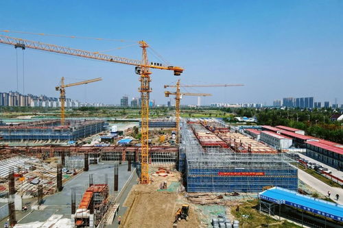 上海人注意 8月起,這些新規將影響你我生活