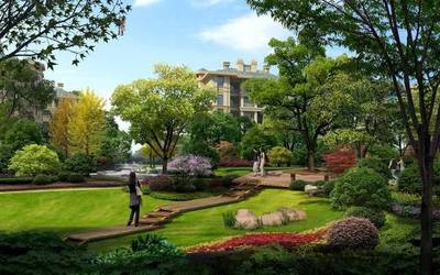 竹材在園林景觀(guān)中有哪些作用,竹材在園林的多樣化