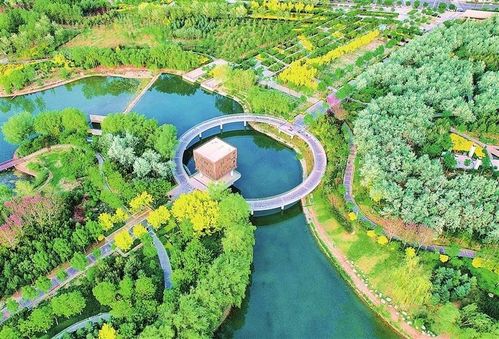 繪就綠色發(fā)展新畫卷 武威市涼州區(qū)推進(jìn)生態(tài)文明建設(shè)綜述