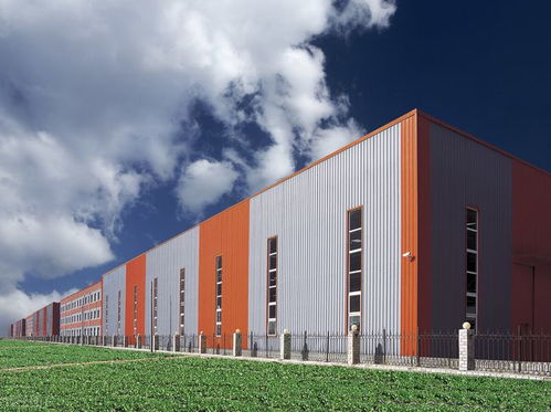 外企支付員工超高額遣散費(fèi),如同飯碗里加肉,下飯菜本應(yīng)有肉才是